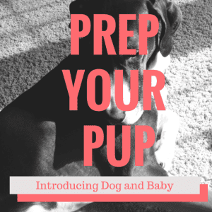 PREP YOUR PUP (1)