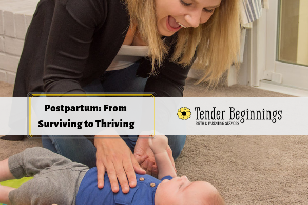 Tender Beginnings postpartum support