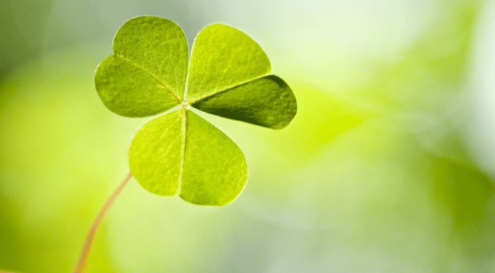 March Events Featured Image with Shamrock