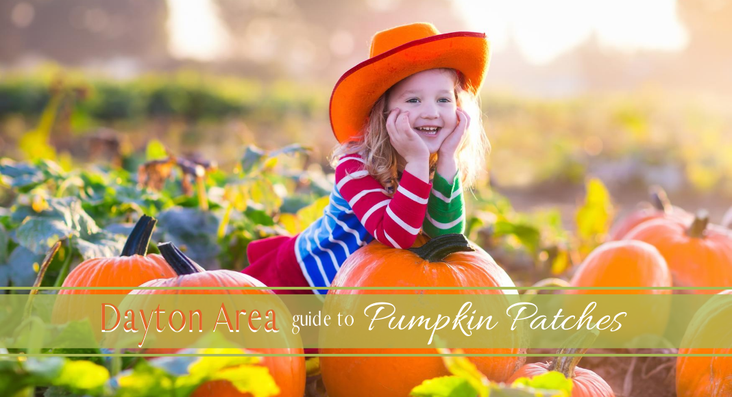 Pumpkin Patch Painting with Apples - Kids Activity Zone